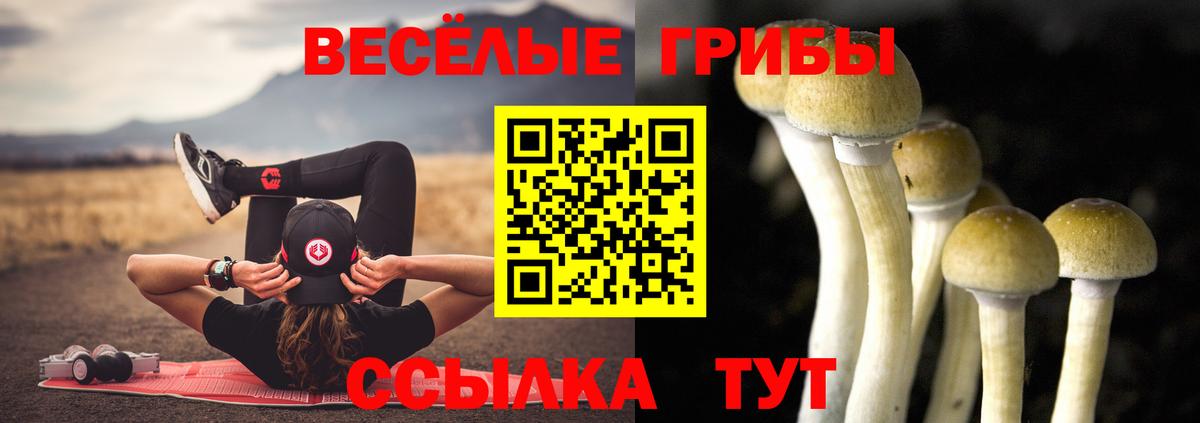 Галлюциногенные грибы Cubensis Котовск