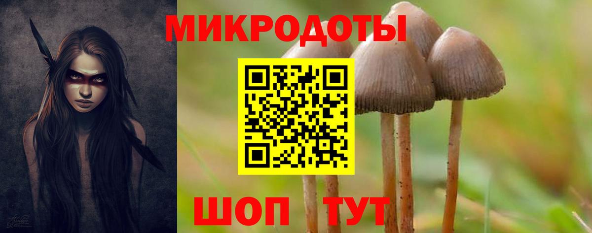 Галлюциногенные грибы Psilocybine cubensis  Вход с VPN  как найти закладки  Котовск 